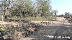 Amazing leopard kill caught on camera