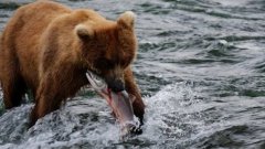 Alaska - uncharted waters