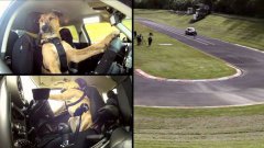 The world's first driving dog