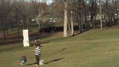 Golden eagle snatches kid