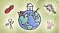 Minuteearth: the story of our planet