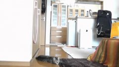 Goalkeeper cat