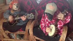 Dogs play bluegrass