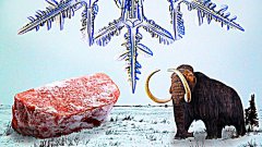 The story of frozen food