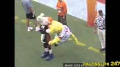 The ultimate compilation of funny mascot bloopers