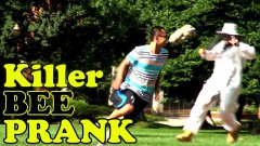 Killer beehive prank