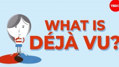 What is deja vu? what is deja vu?