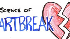 The science of heartbreak