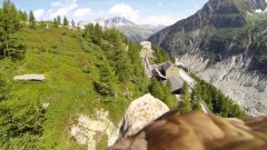 Flying eagle point of view