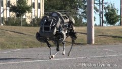 Darpa wildcat robot