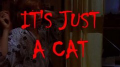 Supercut: It's just a cat