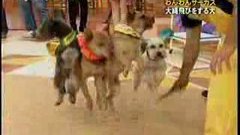 Jump rope dogs