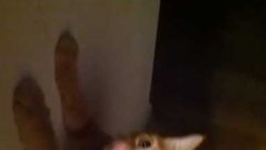 Cat Jumps Owner’s Arm To Stop From Turning Off Lights