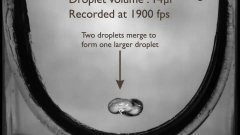 Water Droplet Bouncing In Ultra Slow Motion