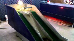 Baby ducks playing on water slide