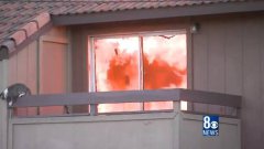 Cat Jumps From Burning Building