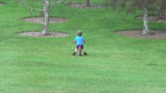 Young Boy Crashes Bike Into Tree