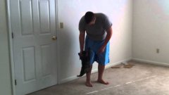 Cat Loves To Be Thrown Onto Bed