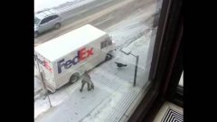 Wild Turkey vs. UPS Driver