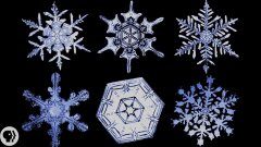 The Science of Snowflakes