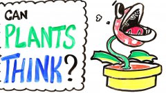 Can Plants Think?