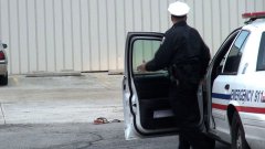 Snake Out Of Purse On The Ground Prank