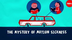 The Mystery Of Motion Sickness