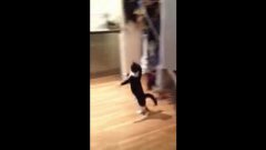 Mr Bouncy Cat