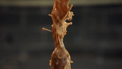 Soda Exploding In Slow Motion