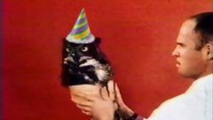 Rotate Your Owl