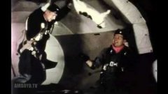 Cats In Zero Gravity