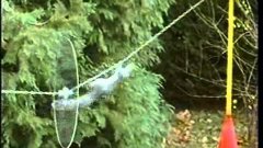 Mission Impossible Squirrel