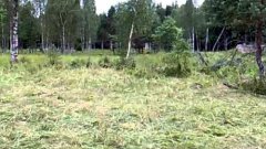 Camouflage Soldiers Come Out Of Hiding