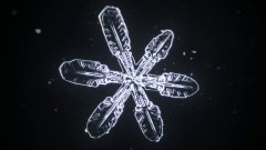 Microscopic Time-lapse of Snowflakes Forming
