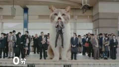 Japanese Gum Commercial With Giant Cat