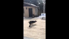 Epic Catch Fail