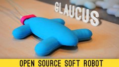 The Glaucus