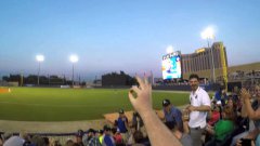 Barehanded baseball line drive catch