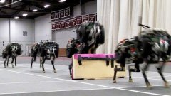 MIT cheetah robot lands the running jump