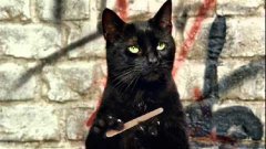 What If Cats Had Thumbs?