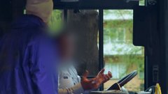 Fare evasion - Rich vs. poor