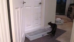 Cat Jumping Over Water and opening doors