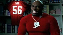 Terry Tate, Office Linebacker
