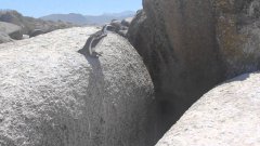 Penguin Jumps Over Gap In Slow Motion