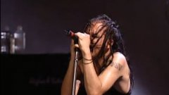 Korn - Faget