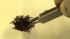 Raft Of Ants Float