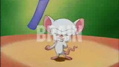 Russian Pinky And The Brain
