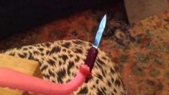 The Knife - Wielding Tentacle