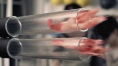 Japanese girls cooking Shrimps in 3 seconds