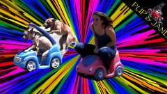 Dogs VS People Race